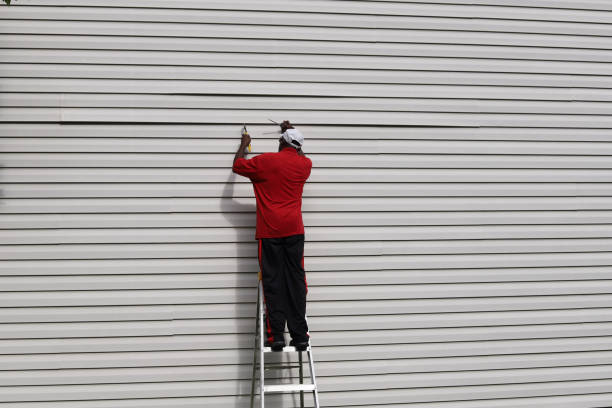 Best Aluminum Siding Installation  in Hoisington, KS